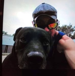 Meet your Posher, Brian